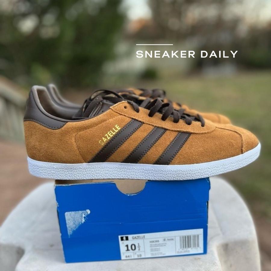giay-adidas-gazelle-mesa-brown-h06395-5